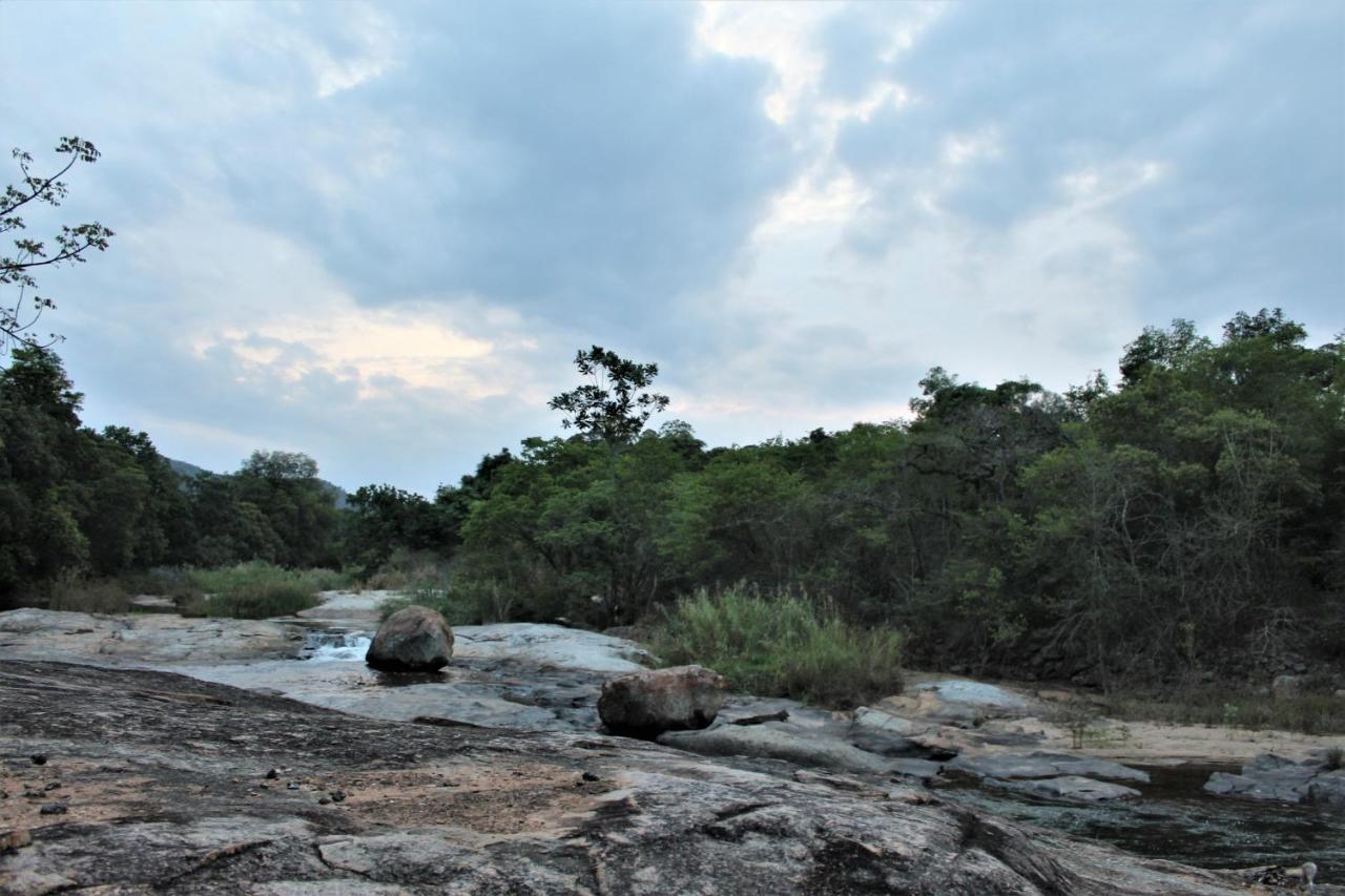 Lions Rock Rapids - Luxury Tented Camp Hazyview Kültér fotó