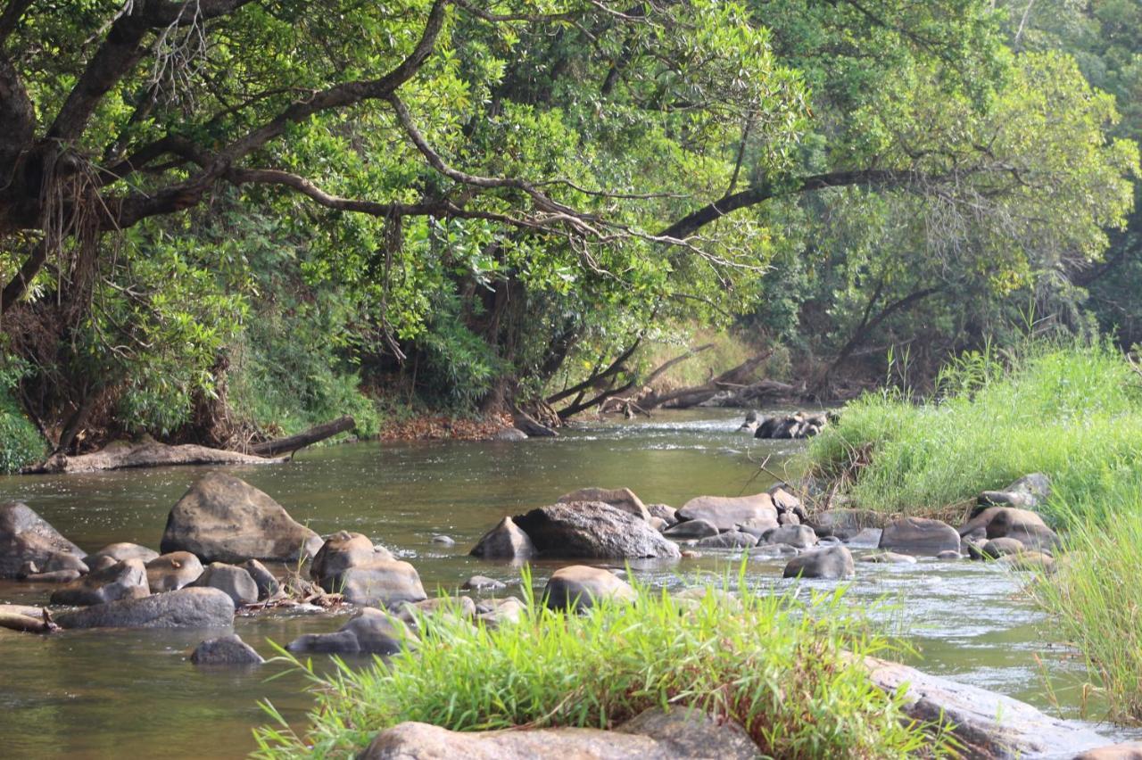 Lions Rock Rapids - Luxury Tented Camp Hazyview Kültér fotó