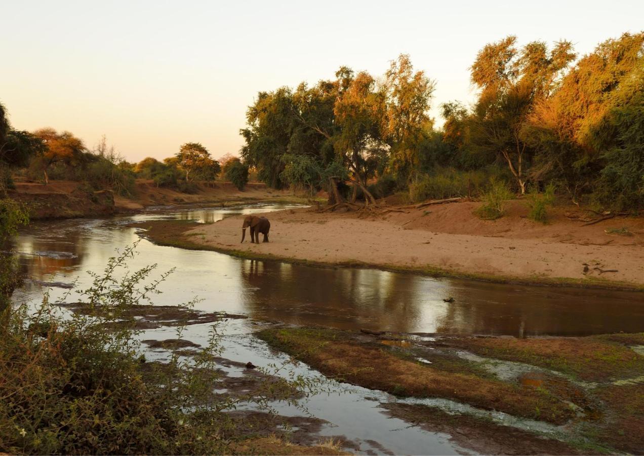 Lions Rock Rapids - Luxury Tented Camp Hazyview Kültér fotó