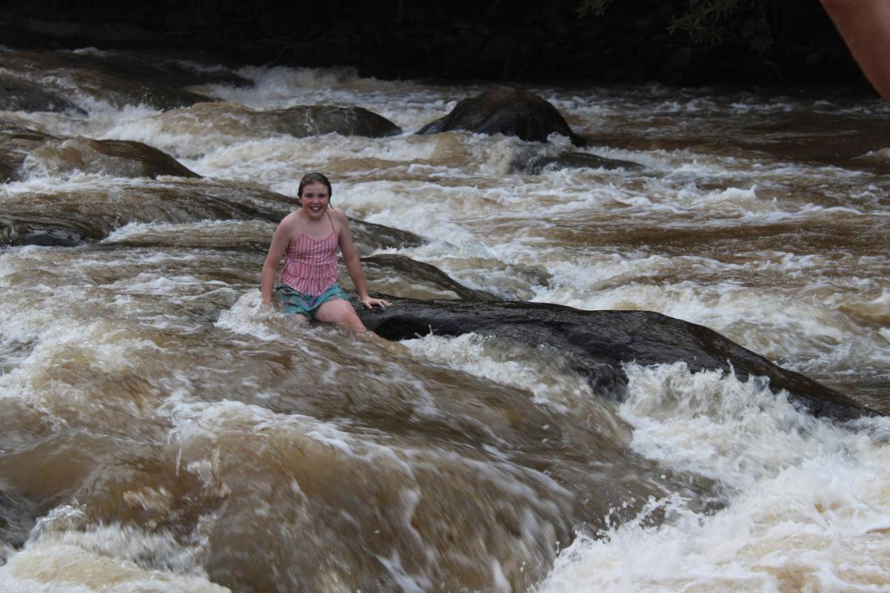 Lions Rock Rapids - Luxury Tented Camp Hazyview Kültér fotó
